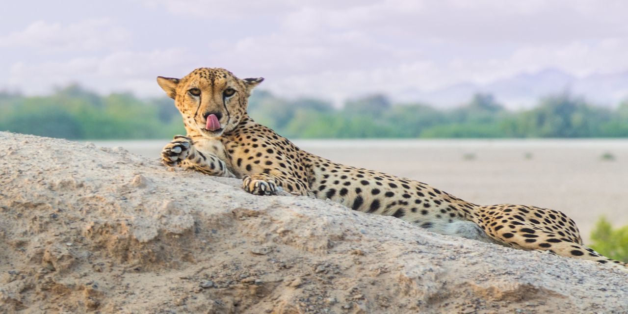 Dubai és a perzsa öböl