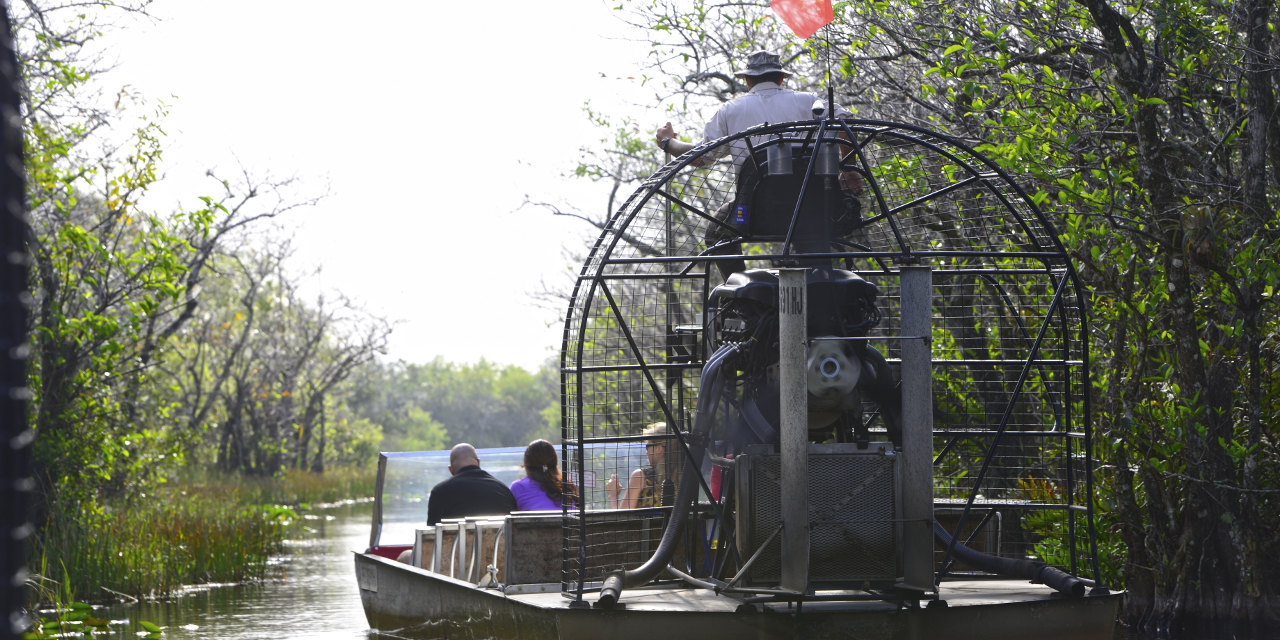 Nyugat Karib csodák Everglades