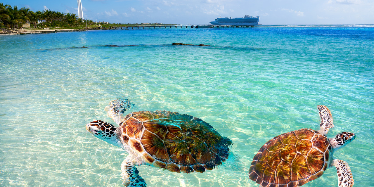 Nyugat Karib csodák Costa Maya