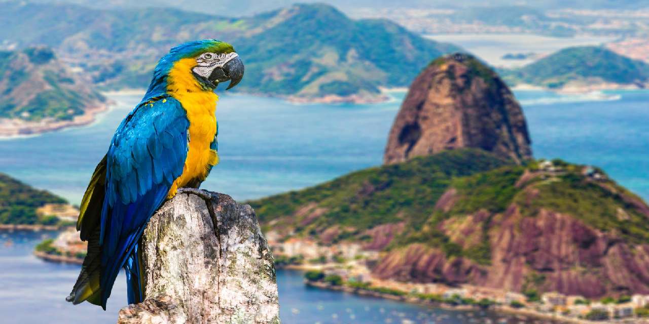19 nap alatt Floridától Argentínáig