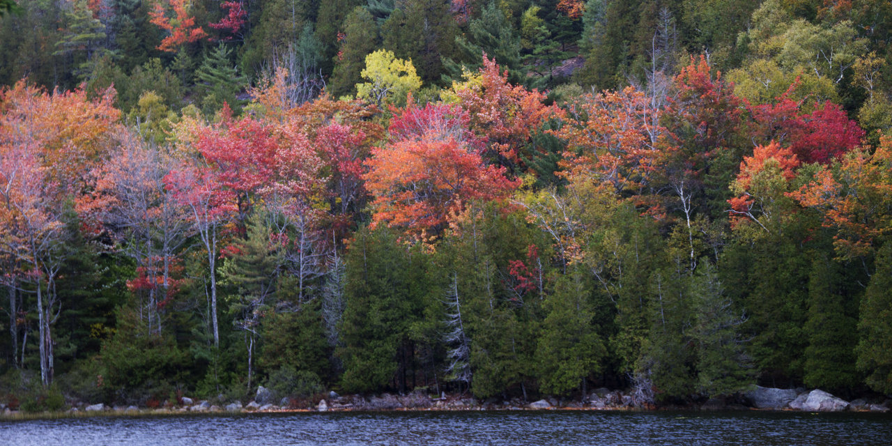 New York, New England, Kanada
