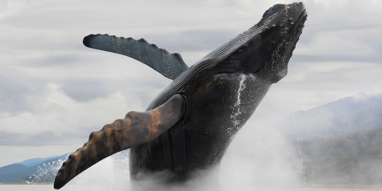 Alaszka - Gleccserek földjén